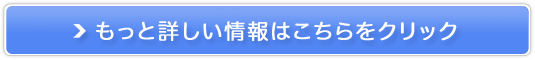 �C�\�t���R���̔��T�C�g��